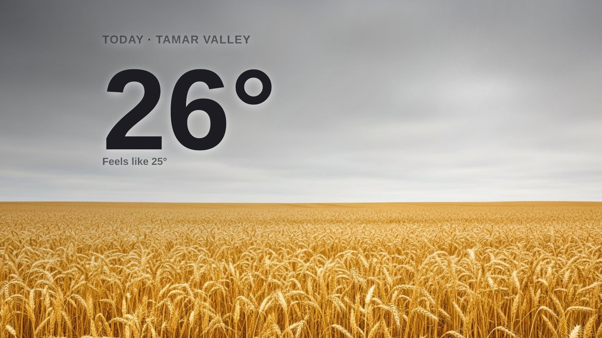 Tamar Valley weather: overcast Monday with little chance of rain and a high of 26°C