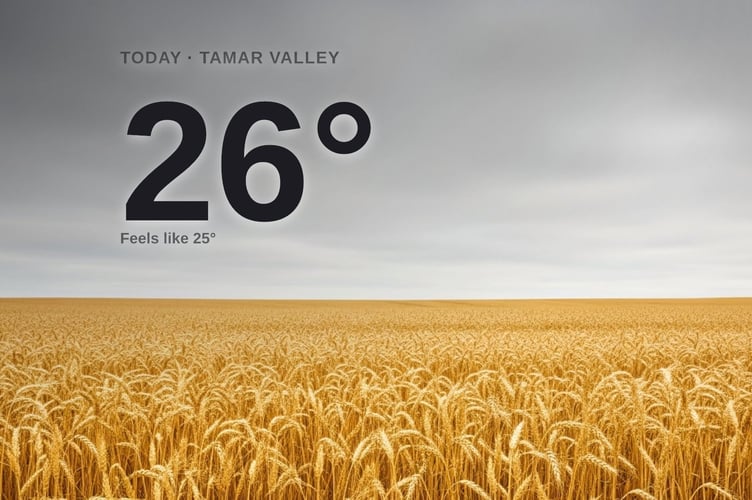 Tamar Valley weather: overcast Monday with little chance of rain and a high of 26°C
