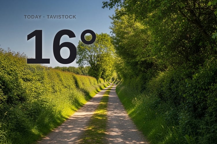 Tavistock weather: sunny Friday with little chance of rain and a high of 16°C