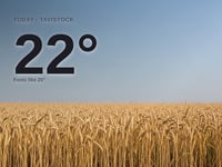 Tavistock: sunny day, high of 22°C