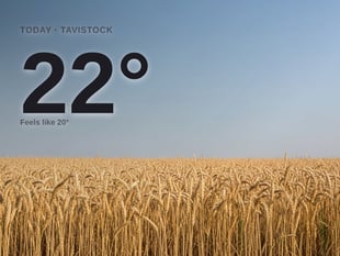 Tavistock: sunny day, high of 22°C