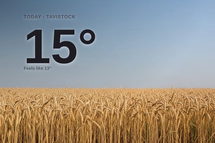 Tavistock weather: sunny Saturday with little chance of rain and a high of 15°C