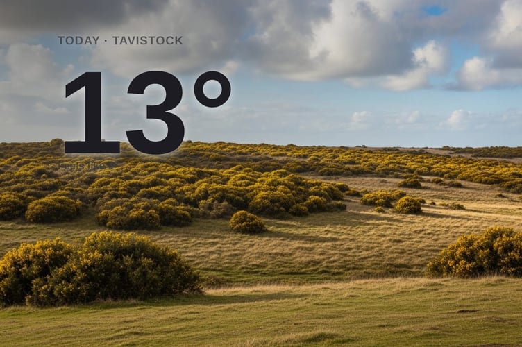Tavistock weather: cloudy Sunday with rain expected and a high of 13°C